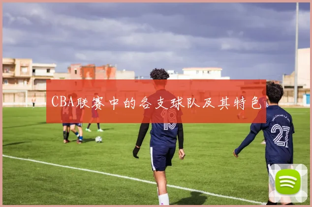 CBA联赛中的各支球队及其特色