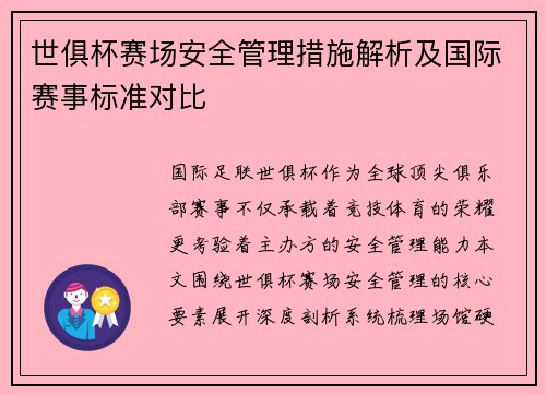 世俱杯赛场安全管理措施解析及国际赛事标准对比